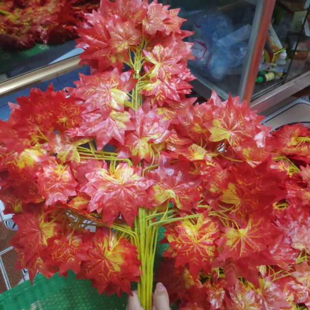 Cành phong lá đỏ