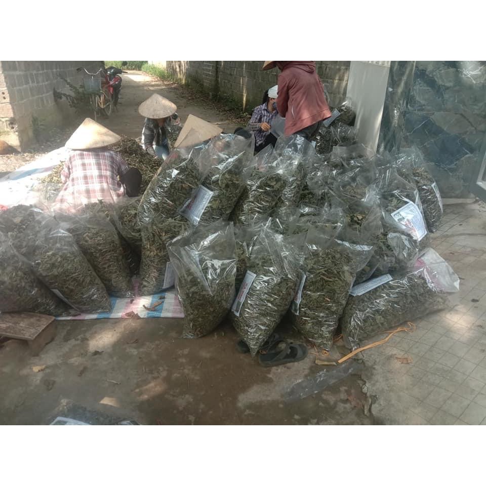 [Tổng Kho] 1kg Lá Xạ Đen Khô Hoà Bình Giúp Tiêu Viêm Giải Độc | BigBuy360 - bigbuy360.vn