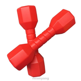 2pcs/set Home Gift Early Education Fun Exercise Gym Outdoor Sports Dancing Props Children Dumbbells