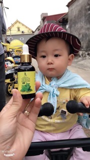 Dầu húng chanh minion