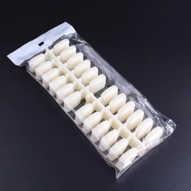 Móng mẫu gắn vào sổ móng