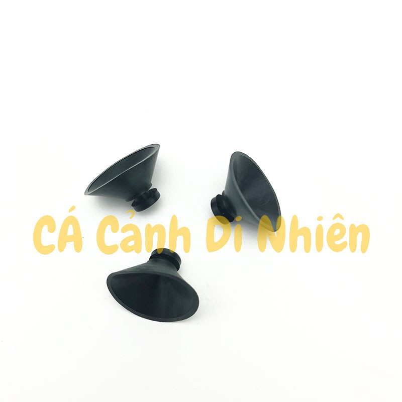 Hít kính GIỮ MÁY BƠM LỌC NƯỚC cho hồ bể cá cảnh - Hít Đế Máy bơm