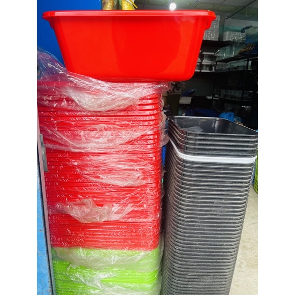 Khay nhựa xanh - Khay nuôi cá thủy sinh