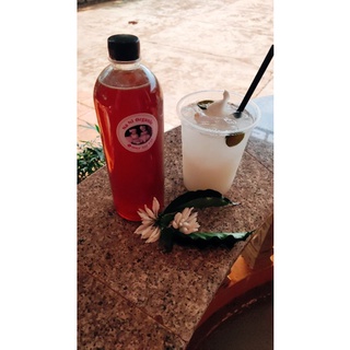 Combo 5 lít Mật ong nguyên chất