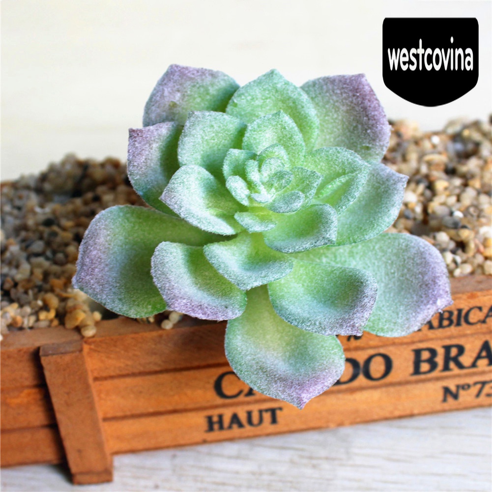 [Hot]☀ Chậu Cây Bonsai Mini Nhân Tạo Để Bàn Trang Trí Tiệc Cưới / Nội Thất Nhà