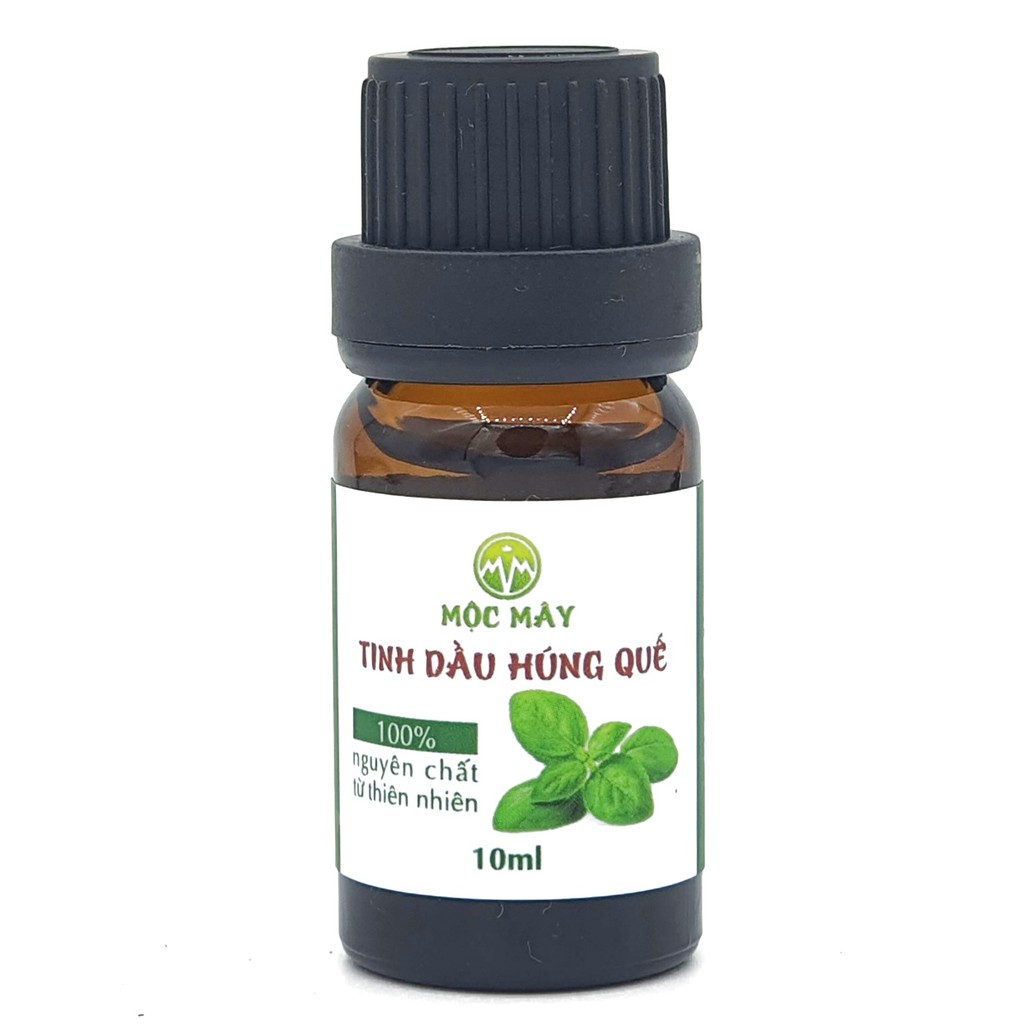 Tinh dầu húng quế 10ml nguyên chất Mộc Mây