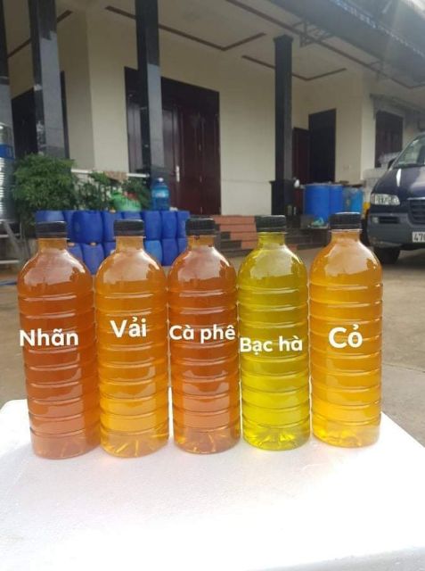 3 LÍT MẬT ONG -100% nguyên chất nhà nuôi