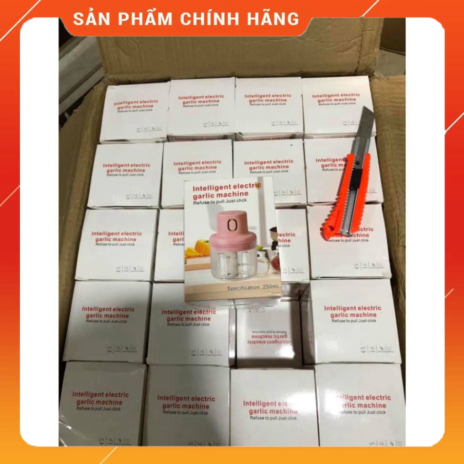 Máy xay thực phẩm mini cầm tay 250 ml đa năng sạc pin xay tỏi ớt, xay hành