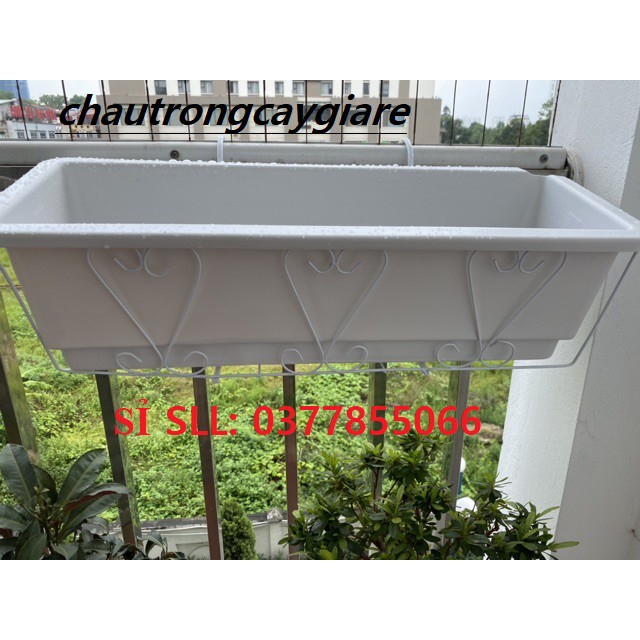 Combo Chậu Nhựa Trồng Cây Trồng Hoa và Móc Sắt Treo Ban Công dài hình chữ nhật, hình tròn dài 48cm* rộng 20cm* cao 16cm