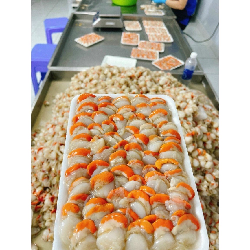 Vành Sò Sốt Chanh ( ăn liền ) là món ăn ngon của Shop Đặc Sản Biển Phan Thiết NGỌC DŨNG; Hộp 200 gram. HSD 12 tháng