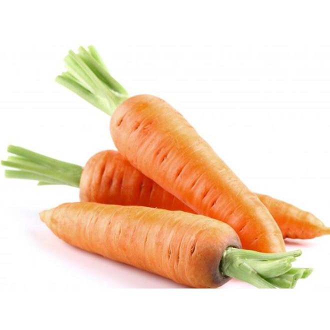 Hạt giống cà rốt