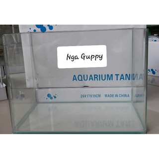 Bể cá đúc mặt cong sixe 26 x 17 x 19 cm