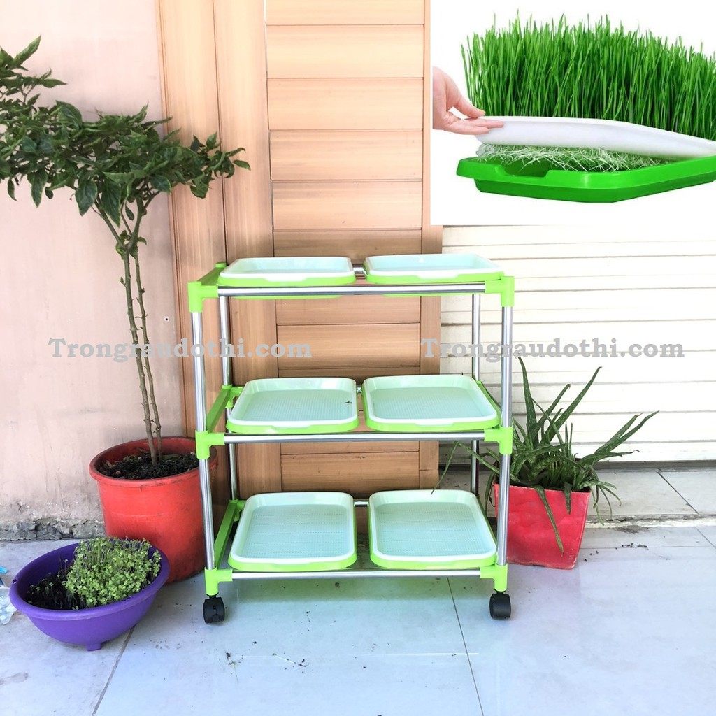 (TẶNG 500gram HẠT GIỐNG RAU MẦM ĐẬU HÀ LAN + VÒI XỊT) Bộ trồng rau mầm 3 tầng 6 chậu