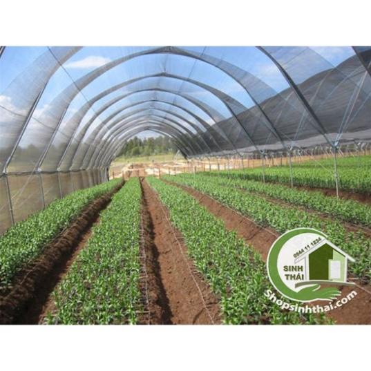 Lưới mùng bảo vệ cây trồng chống côn trùng  lưới mùng chống muỗi che chắn bảo vệ - Chọn màu