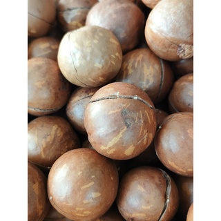Hạt Macca nứt vỏ 500g
