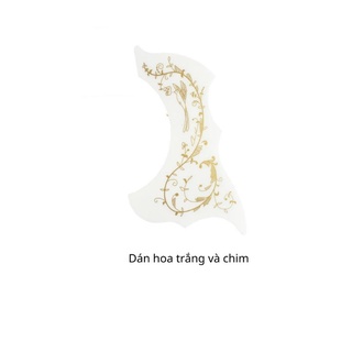 miếng dán chống xước đàn guitar