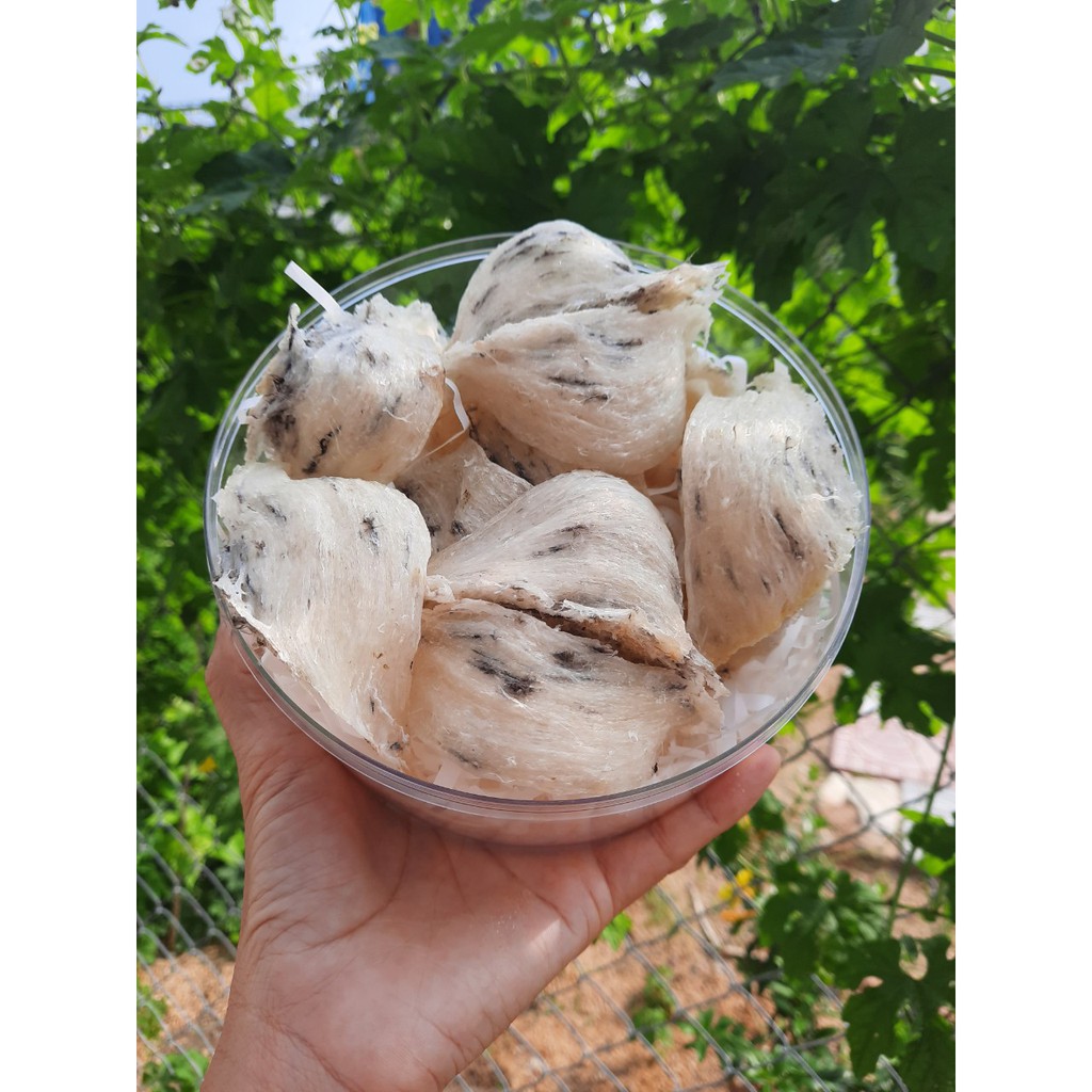 50gr tổ Yến sào thô ít lông +  táo đỏ, đường phèn, hạt chia - Yến thô nguyên chất