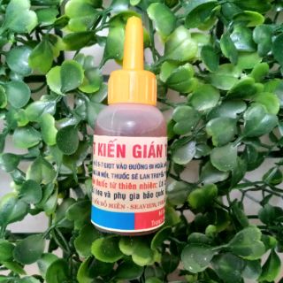 Thuốc diệt kiến gián tận gốc từ thiên nhiên