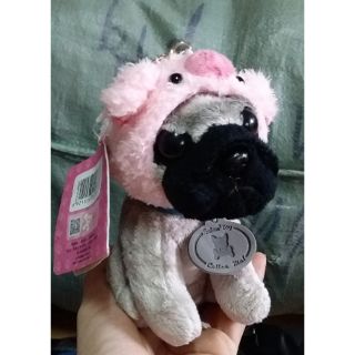 Gấu chị phương