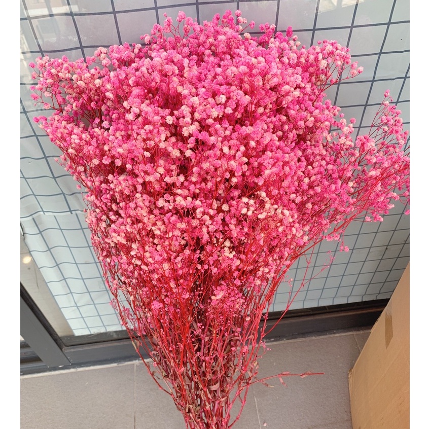 [SIÊU TIẾT KIỆM] Bó hoa baby khô 450-500gr siêu to trang trí decor nội thất tiết kiệm