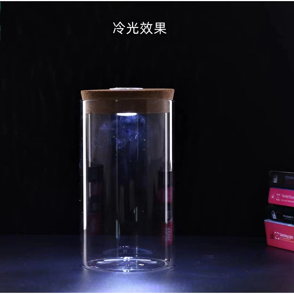 Lọ Hoa Thủy Tinh Trong Suốt Có Nút Bần Và Đèn LED Phát Sáng Độc Đáo