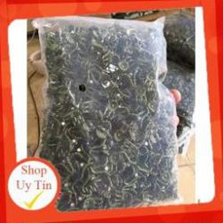 100 KẸP BƯỚM TRUNG CỐ ĐỊNH HOA LAN