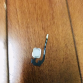 Nút home cho iphone 5s