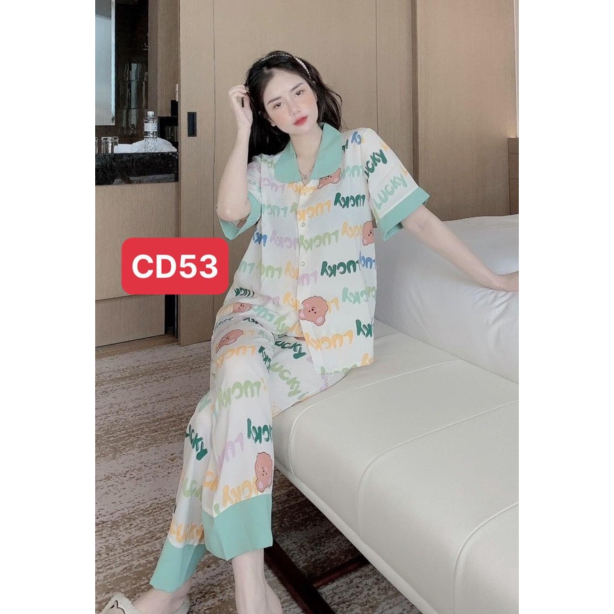 Bộ pijama cho nữ CỘC DÀI cổ sen HAVU SHOP dễ thương nhiều màu - Đồ bộ ngủ mặc nhà thiết kế nhiều hoạ tiết