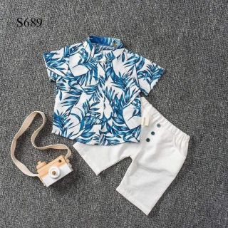 Bộ cộc tay nhiệt đới