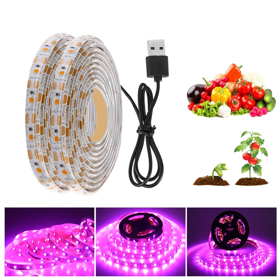 Đèn LED Kích Thích Tăng Trưởng Thực Vật 5V 2835 USB