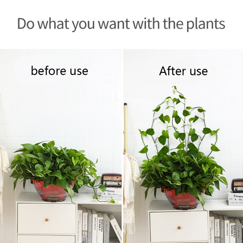 Set 100 Kẹp Cố Định Dây Leo Bằng Nhựa Tiện Dụng