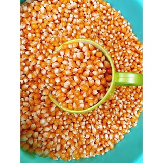Bắp rang bơ (vị phô mai) bestseller