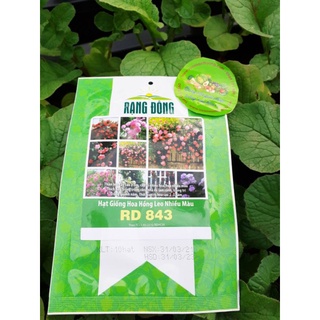 Gói 10 Hạt Hoa Hồng Leo Nhiều Màu Rado 843, Thân Leo Cây cao 2-3m, Ra hoa sau 2_3 năm