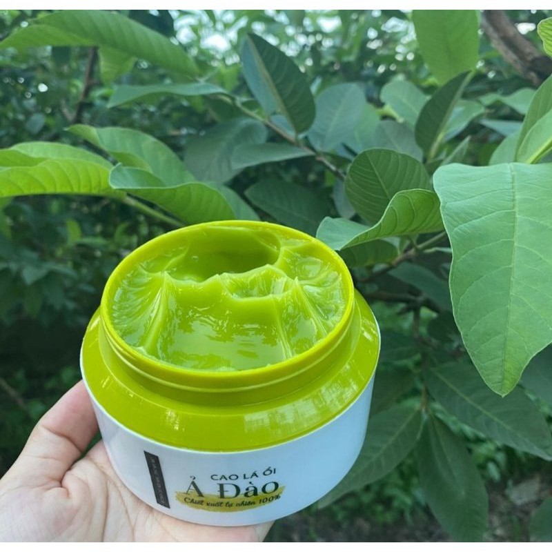 Cao Lá Ổi Mộc Nhan ♥️♥️ Freeship ♥️♥️ Giúp Săn Chắc ,Thon Gọn Các Vùng Da | BigBuy360 - bigbuy360.vn