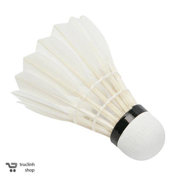 Combo 2 trái Cầu lông