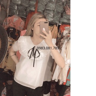 Áo Sơ Mi Trắng Lụa Voan Tơ Hàn  Tay Phồng (ẢNH THẬT)