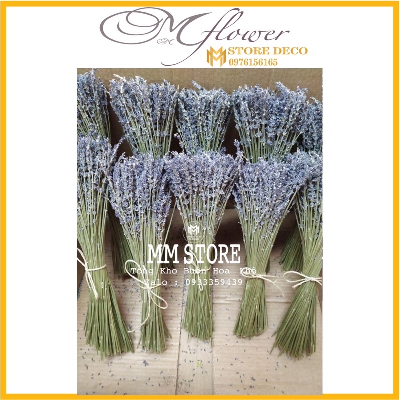 Hoa khô Lavender ❤️FREESHIP❤️ True Lavender hoa khô hàng chuẩn, tím than siêu đẹp
