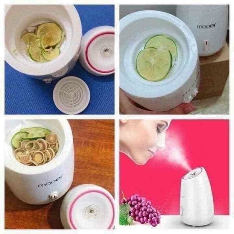 Máy Xông Mặt Hoa Quả