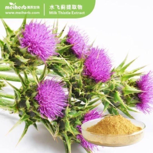❤ [Quận 3] [Date 7/2025] Viên Uống Bổ Gan Thải Độc Gan Puritan Pride Milk Thistle Extract 180 viên Mỹ Đủ Bill Chuẩn Xịn