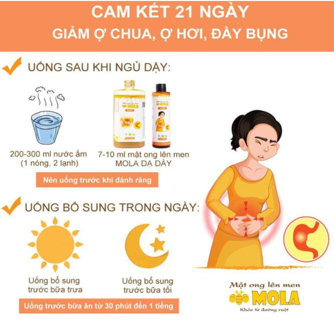 Mật Ong Lên Men MOLA  Dạ Dày - Giảm ợ chua, ợ hơi, đầy bụng 260g - 410g