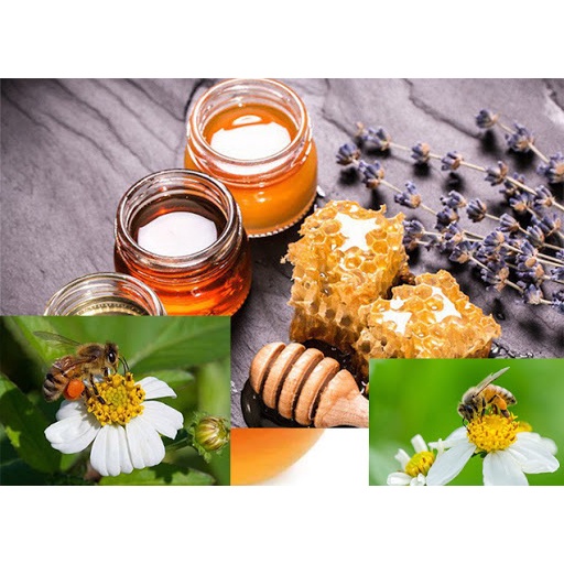 Mật ong Phúc Khang - Hoa Xuyến Chi Tự Nhiên - Hũ thủy tinh cao cấp 500g- Sản phẩm ISO 22000