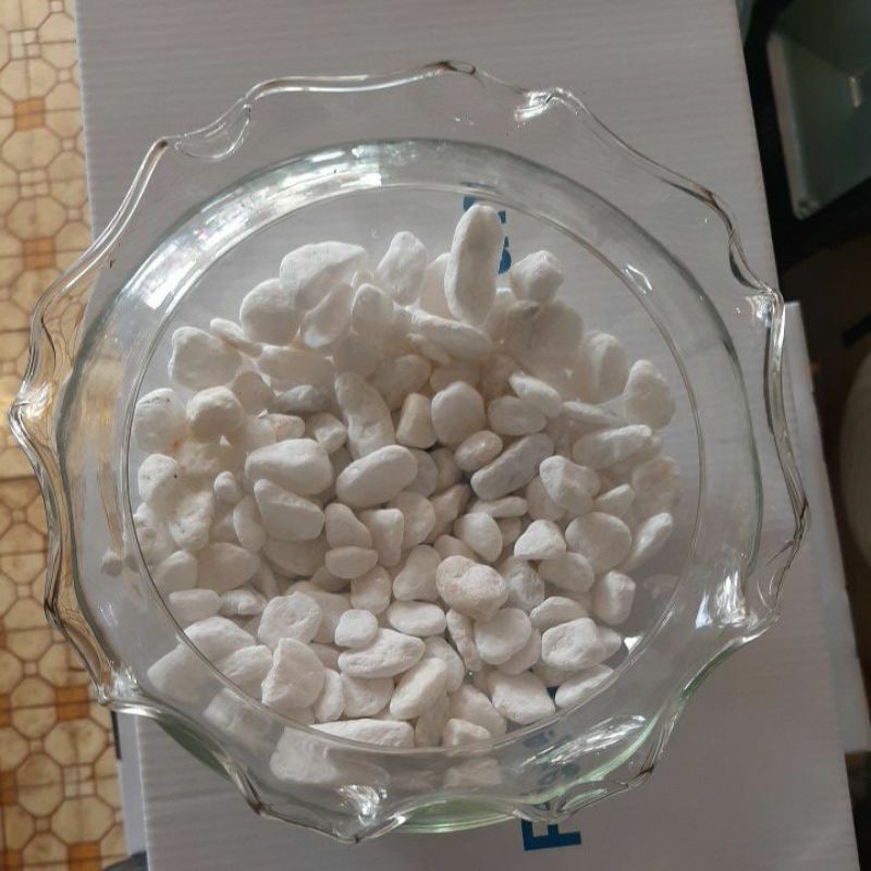 Hủ thủy tinh tai bèo ( tặng 0,5kg đá trắng), bể cá tai bèo. Hủ trồng cây cảnh.