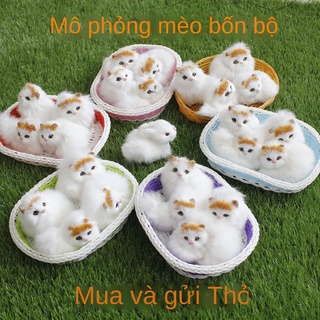 Mô phỏng động vật mèo lông sẽ không được gọi là búp bê kitty phù hợp với đồ chơi trẻ em cô gái