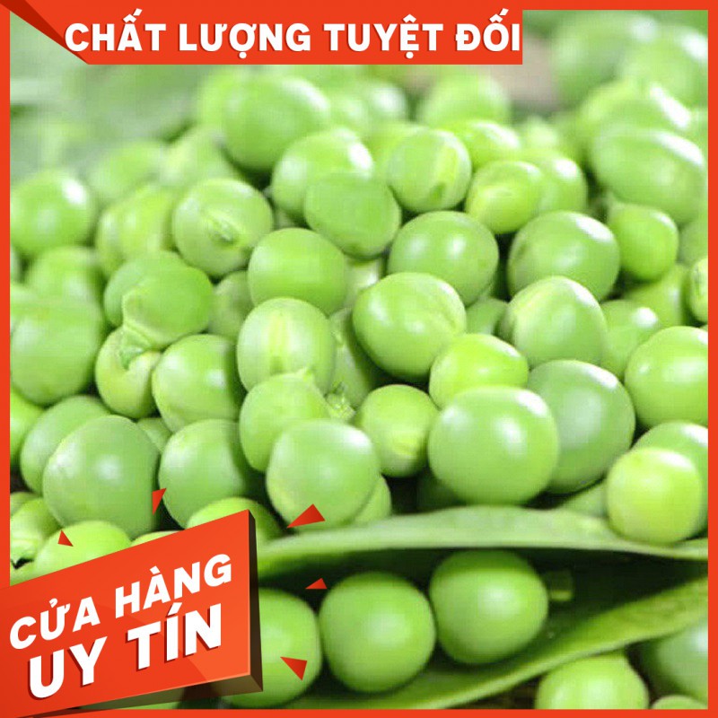 HẠT GIỐNG ĐẬU HÀ LAN - Còn hàng