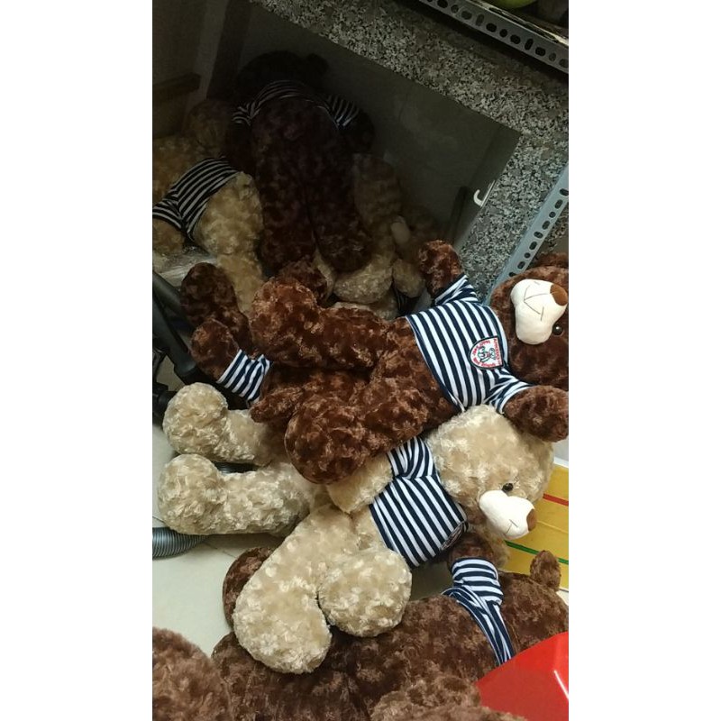 Gấu teddy quà tặng tốt nghiệp và hoa