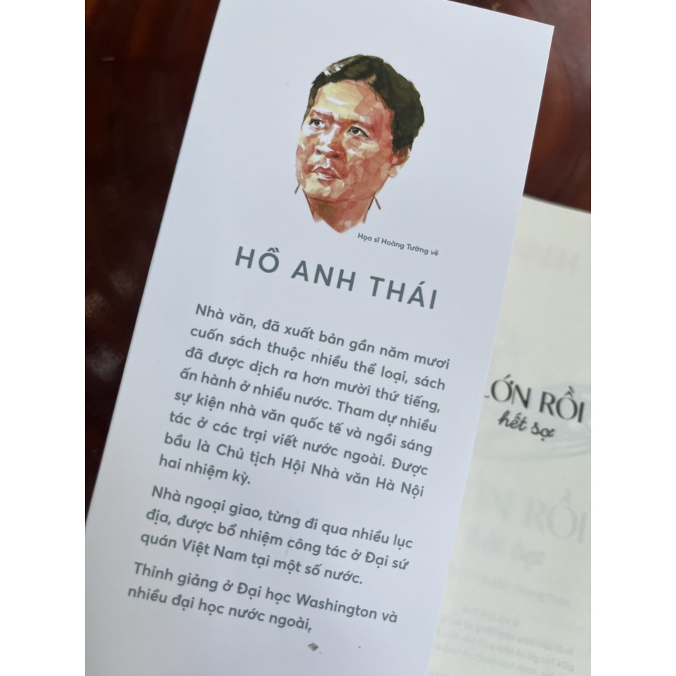 Sách - Lớn rồi hết sợ - Hồ Anh Thái – NXB Kim Đồng – bìa mềm