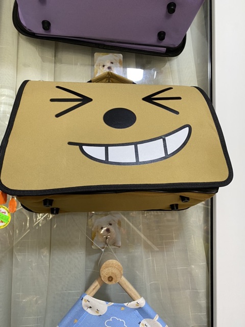 Túi Vận Chuyển Thú Cưng