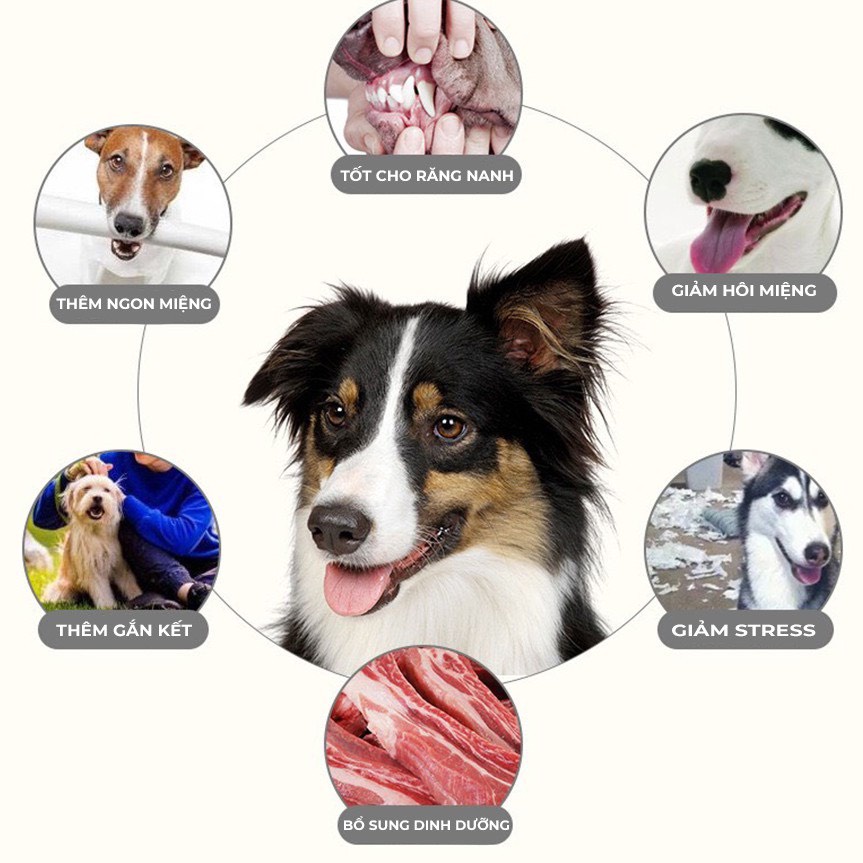 Xương gặm Orgo giúp bổ sung dinh dưỡng và sạch răng miệng cho chó