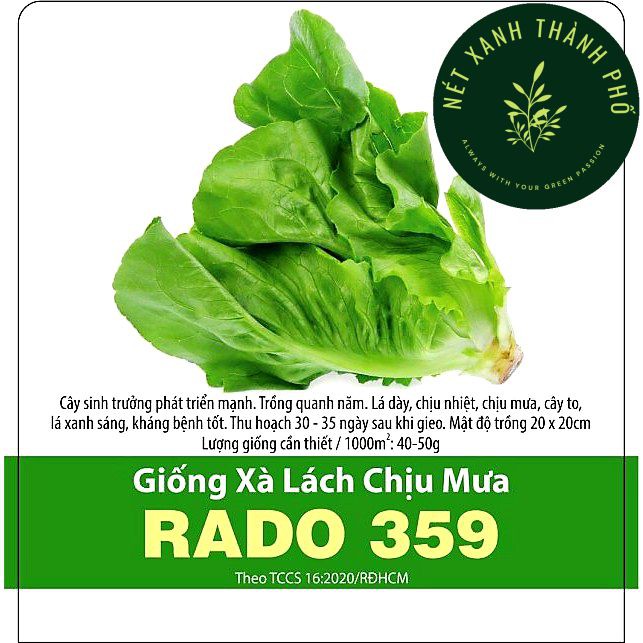 Hạt giống Xà lách chịu mưa, gói 10gr