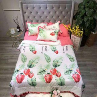 Bộ drap cotton đũi full mền